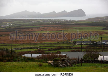 Ein Blick auf die Dingle Halbinsel in der Nähe von ballydavid im County Kerry, Irland Stockfoto