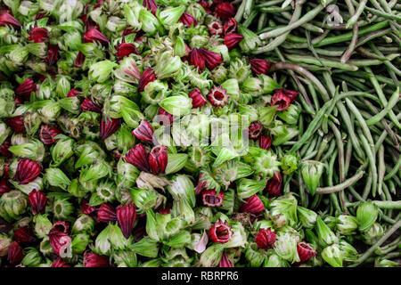 Frische rote und grüne Roselle blumen Verkauf auf dem Markt Stockfoto