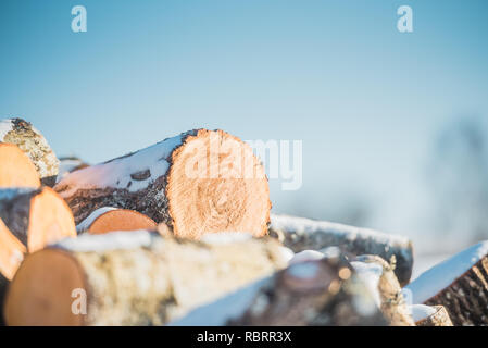 Rundholz Schnittholz Holz auf dem Hintergrund des blauen Himmels. Close Up. Stockfoto