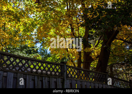 Hamilton, Kanada - Oktober 16, 2018: Bunte sonnige Herbst voller Farben im Park in der Nähe des Sees Stockfoto