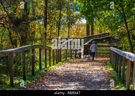 Hamilton, Kanada - Oktober 16, 2018: Bunte sonnige Herbst voller Farben im Park in der Nähe des Sees Stockfoto