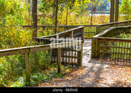 Hamilton, Kanada - Oktober 16, 2018: Bunte sonnige Herbst voller Farben im Park in der Nähe des Sees Stockfoto