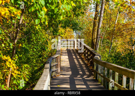 Hamilton, Kanada - Oktober 16, 2018: Bunte sonnige Herbst voller Farben im Park in der Nähe des Sees Stockfoto