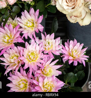Die bunte Vielfalt der Blumen auf dem Markt in London verkauft. Stockfoto