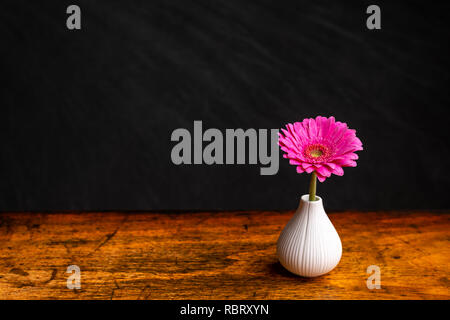 Noch immer leben Hintergrund, Gerber Daisy in einer Vase Stockfoto