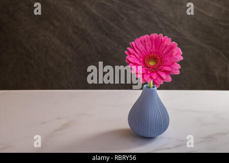 Noch immer leben Hintergrund, Gerber Daisy in einer Vase Stockfoto