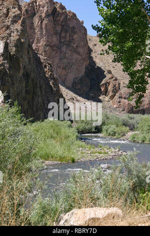 Ein Fluss fließt durch einen steinigen, kargen, Desert Canyon durch blühende Pflanzen im Westen der USA umgeben Stockfoto