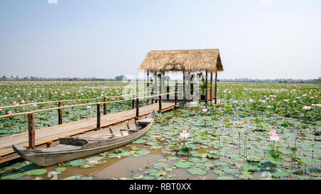 Kambodscha, Tonle Sap - März 2016: Eine rustikale Hütte sitzt in einem See voller Lotus Blumen. Blumen sind als Opfer, Dekorationen und für die Samen gezüchtet Stockfoto