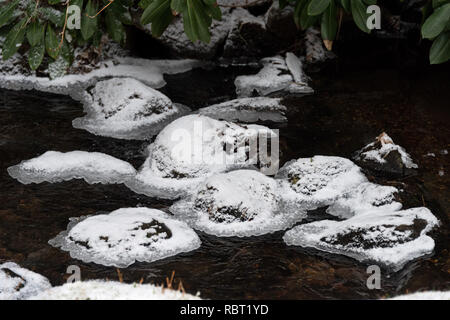 Ice-beringte Steine im Stream Echo der raked Sand in der Nähe karesansui Garten am Asticou Azalee Garten, Northeast Harbor, Maine Stockfoto