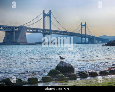 Blick auf Minrak Seaside Park, Busan, Südkorea, Asien Stockfoto