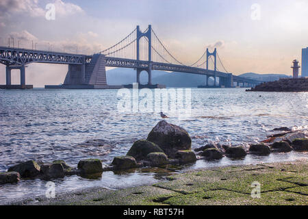 Blick auf Minrak Seaside Park, Busan, Südkorea, Asien Stockfoto