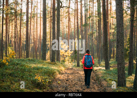 Aktive junge Erwachsene kaukasische Frau Backpacker Wandern im Herbst grünen Wald. Aktiver Lebensstil im Herbst Alter Natur während des Sonnenuntergangs. Stockfoto