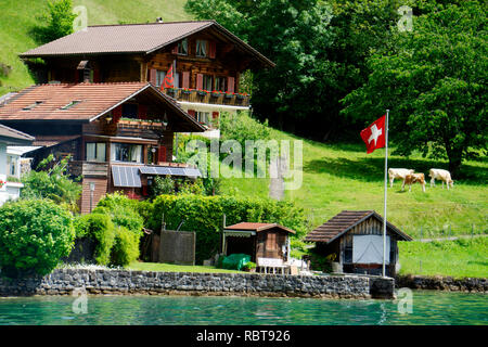 Ufer der Thuner See im Labor Spiez areaGarden Stockfoto
