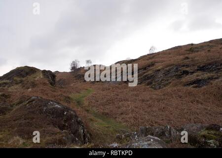 Kleines Tal in einem Moor typisch für den Norden von England und Schottland (englisch Lake District, Cumbria). Braun bracken und Heather mit einem kleinen Bach fl Stockfoto