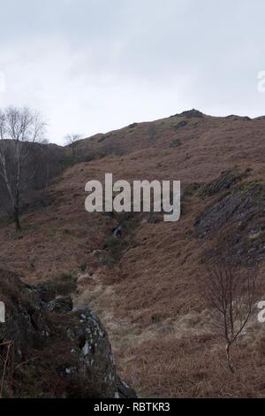 Kleines Tal in einem Moor typisch für den Norden von England und Schottland (englisch Lake District, Cumbria). Braun bracken und Heather mit einem kleinen Bach fl Stockfoto