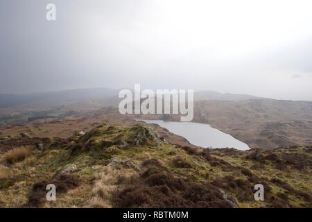 Ein kleiner See (Tarn) auf einem Moor im Norden von England (Cumbria Lake District). Das Moorland ist gefleckt mit kleinen Felsen, Gras, Heidekraut und Braun Stockfoto