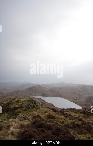 Ein kleiner See (Tarn) auf einem Moor im Norden von England (Cumbria Lake District). Das Moorland ist gefleckt mit kleinen Felsen, Gras, Heidekraut und Braun Stockfoto