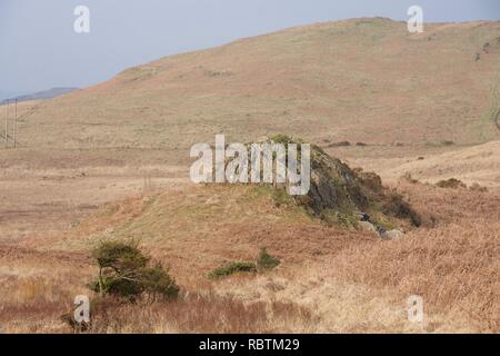 Rolling moorland im englischen Lake District (Cumbria), typisch für den Norden von England und Schottland. Braun und lila Farbtönen von winterlichen trockene Heidekraut und Stockfoto