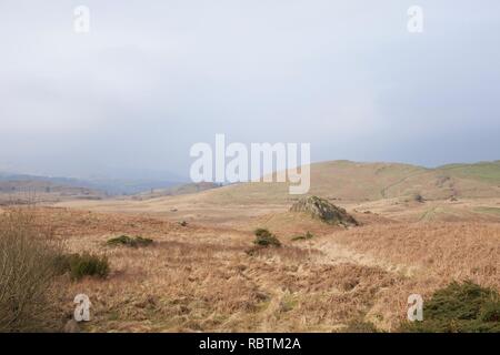 Rolling moorland im englischen Lake District (Cumbria), typisch für den Norden von England und Schottland. Braun und lila Farbtönen von winterlichen trockene Heidekraut und Stockfoto