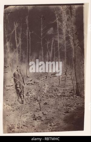 - Die Wüste Schlachtfeld, in der Nähe von Spotsylvania, Virginia - Stockfoto