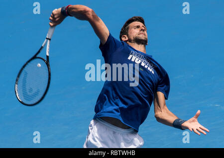 Melbourne, Australien. 12 Jan, 2019. Novak Djokovic aus Serbien besucht eine Trainingseinheit vor den Australian Open in Melbourne, Australien, Jan. 12, 2019. Credit: Lui Siu Wai/Xinhua/Alamy leben Nachrichten Stockfoto