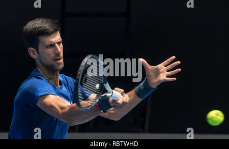 Melbourne, Australien. 12 Jan, 2019. Novak Djokovic aus Serbien besucht eine Trainingseinheit vor den Australian Open in Melbourne, Australien, Jan. 12, 2019. Credit: Lui Siu Wai/Xinhua/Alamy leben Nachrichten Stockfoto