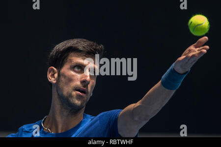 Melbourne, Australien. 12 Jan, 2019. Novak Djokovic aus Serbien besucht eine Trainingseinheit vor den Australian Open in Melbourne, Australien, Jan. 12, 2019. Credit: Lui Siu Wai/Xinhua/Alamy leben Nachrichten Stockfoto