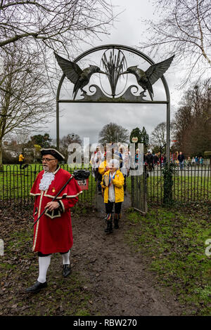 Leominster, Großbritannien. 12 Jan, 2019. Die leominster Stadtausrufer führt als Mitglieder der Jenny Rohre Morris Dance für Massen für die jährliche Stadt Wassail durch die Stadt von Leominster, Herefordshire, Vereinigtes Königreich, versammelte sich am 12. Januar 2019. Die Jenny Rohre Morris sind nach der letzten Frau, die von einem Ducking-effekt Hocker in der Stadt im Jahr 1809 bestraft werden benannt. Die traditionelle wassail erfolgt an der Leominster Gemeinschaft Obstgarten, wo Scheiben Toast Wein getränkt werden von den Ästen der Bäume gehangen Rotkehlchen in den Obstgarten zu fördern, um die Schädlinge, die comabat Angriff der Apple Tres. Quelle: Jim Stockfoto