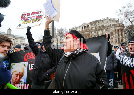 Westminster. London, Großbritannien, 12. Jan 2019 - rivalisierende Demonstranten versucht, die Rallye auf dem Trafalgar Square. Viele Tausende von Menschen in der gelben Weste nehmen Sie teil an einer Demonstration von der Volksversammlung gegen Sparpolitik organisiert von Marching in London und Rallyes in Trafalgar Square der Forderung nach einer allgemeinen Wahl. Credit: Dinendra Haria/Alamy leben Nachrichten Stockfoto