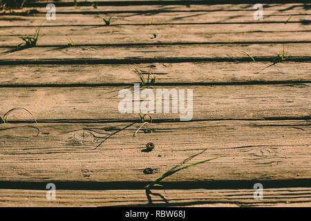 Holz- Hintergrund. Holzpaneele mit Sand und Spuren. Stockfoto