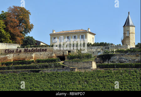 Clos La Madeleine, Saint-Emilion, Frankreich Stockfoto