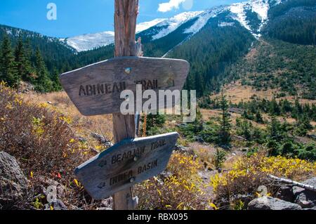 Abineau Trail ist ein steiler Aufstieg 1.800 Fuß über zwei Meilen auf den Hügeln von San Francisco Peaks durch Abineau Canyon. Der Weg trifft der Wasserlinie Trail an der Spitze, die zu tragen Kiefer Trail gefolgt werden kann dem trailhead zurückzukehren. Jedes Bein der Schleife ist rund zwei Kilometer lang, plus ein 0,4 Meter stecker Trail vom Trailhead zum Loop, insgesamt Rundwanderung von sieben Meilen. Die Schleife ist eine der fundamentalen Herbstwanderungen in der San Francisco Peaks. Espen entlang aller drei Beine der Schleife drehen, Gold, und fallende Blätter Teppich den Waldboden und die Nadelhölzer schmücken. Ein st Stockfoto