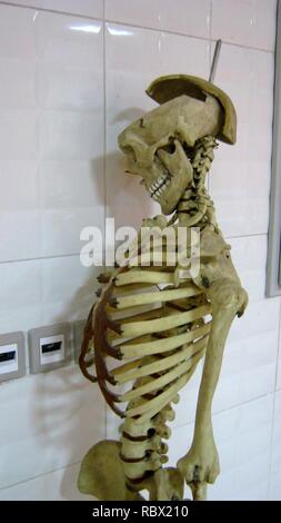 Abu al-Biruni Reyahan Middle School - Nishapur 127. Stockfoto