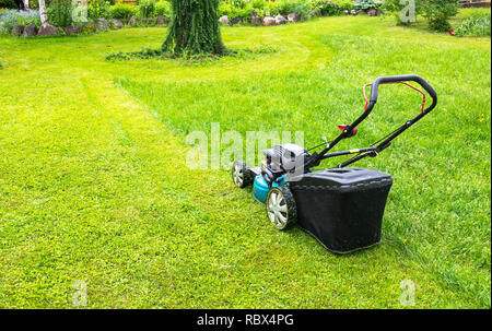Mäht Rasen mit dem Rasenmäher mähen Rasen schneiden Maschine Rasen Frau