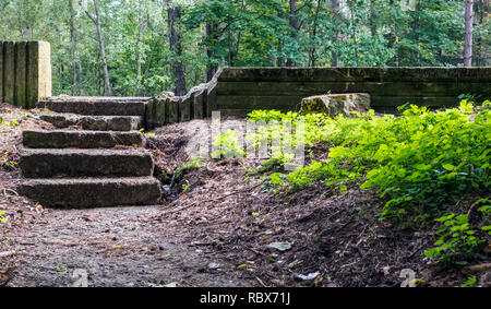 Alte vernachlässigt Steintreppe im Wald mit grünen Rasen hell erleuchtet von der Morgensonne. Stockfoto