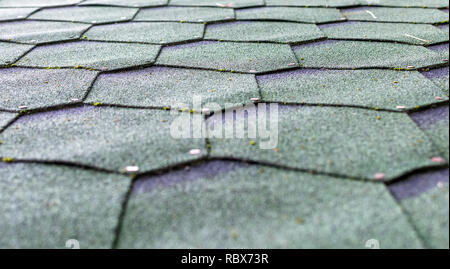 Fragment des grünen Schindel Fliese Textur Dach für Hintergrund. Closeup detail. Flexible weiche bebauten bituminöse Dachbahnen. Stockfoto