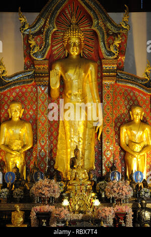 Buddhastatuen in Viharn Luang auf dem Gelände des Wat Chedi Luang, Chiang Mai, Thailand Stockfoto