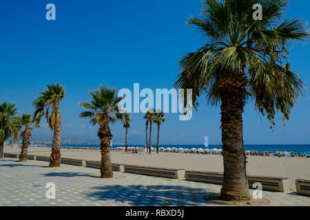 Blick von der Esplanade auf den belebten Strand. August-Wochenende. Playa San Juan, Alicante. Spanien Stockfoto