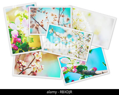 Frühjahr blühenden Bäume. Collage. Selektive konzentrieren. Natur. Stockfoto