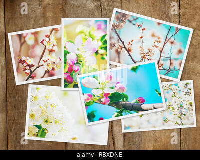 Frühjahr blühenden Bäume. Collage. Selektive konzentrieren. Natur. Stockfoto