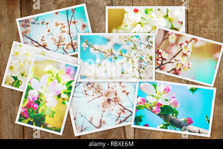 Frühjahr blühenden Bäume. Collage. Selektive konzentrieren. Natur. Stockfoto