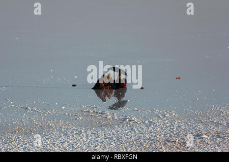 Eine Familie am Salzsee von Urmia See, West Provinz Aserbaidschan, Iran sitzen Stockfoto