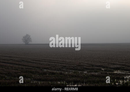 Felder, die von unten in den Herbst mit Nebel und schlechter Sicht Stockfoto