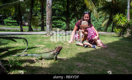 Ein nettes Foto von Mutter und Sohn beobachten eine schöne und grosse Exemplare der grüne Leguan. Jaco, Costa Rica Stockfoto