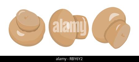 Eingestellt von Pilzen in flacher Ausführung. Vector Illustration. Sammlung von ganze Champignons auf weißem Hintergrund. Stock Vektor