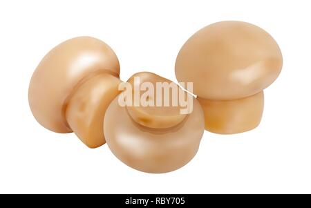 3d-Pilzen. Vector Illustration. Sammlung von ganze Champignons auf weißem Hintergrund. Stock Vektor