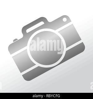 Grau Foto Kamera Symbol. Vector Illustration. Symbol Kamera, auf hellen Hintergrund isoliert. Stock Vektor