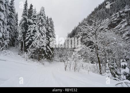Hallstatt, Österreich im Winter unter den Snowy Mountains von Hallstatt. Ansicht von oben. Stockfoto