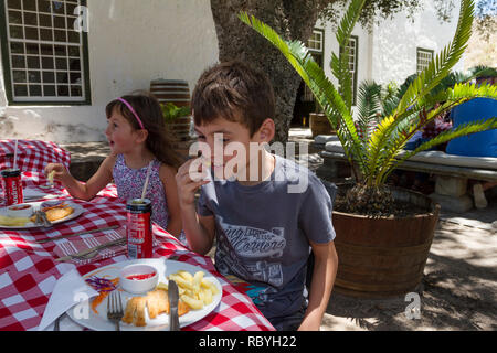 Bruder und Schwester Essen im Schatten unter einem großen Baum Stockfoto