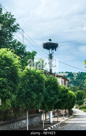 Weißstorch in einem Nest auf der Straße elektrische Pole in der kleinen Stadt am blauen bewölkten Himmel Hintergrund Stockfoto